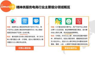 艾媒报告 2017上半年中国精神类服务电商市场研究报告